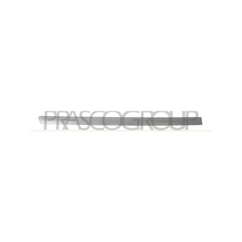 Baguette et bande protectrice, porte arrière droit PRASCO VG0521463