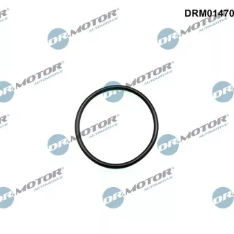 Joint spi de vilebrequin, ventilation du carter-moteur Dr.Motor DRM01470