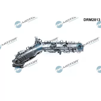 Module de tube d'admission Dr.Motor DRM2813