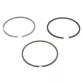 Jeu de segments de pistons NE 8920960000