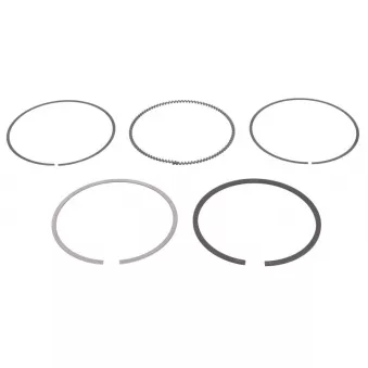 Jeu de segments de pistons NE 8938520000