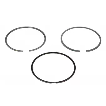 Jeu de segments de pistons NE 8907450000