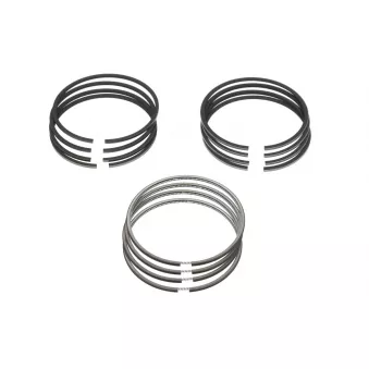 Jeu de segments de pistons NE 7924960000