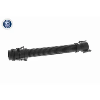 Tuyau, ventilation de carter-moteur VAICO V20-3501