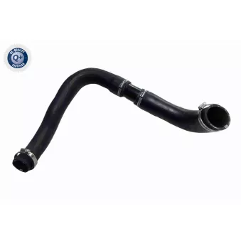 Gaine de suralimentation VAICO V25-1158