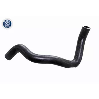 Durite de radiateur VAICO V46-1447