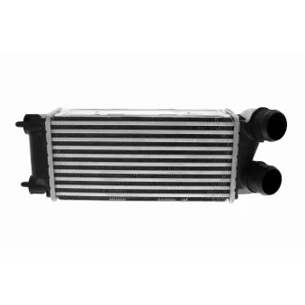 Intercooler, échangeur VEMO V42-60-0017