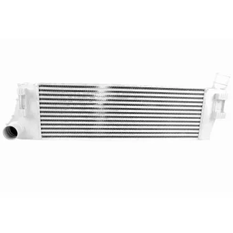 Intercooler, échangeur VEMO V46-60-0006