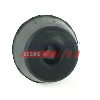 Support, pompe à carburant FAST FT13063