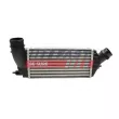 Intercooler, échangeur FAST FT55594 - Visuel 2