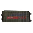 Grille de radiateur FAST FT91630 - Visuel 1