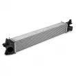 Intercooler, échangeur OE 1613994080 - Visuel 2