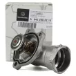 Thermostat d'eau OE 6422002215 - Visuel 1