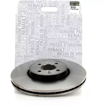 Jeu de 2 disques de frein avant OE 8201695231