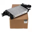 Intercooler, échangeur OE 144963014R - Visuel 1