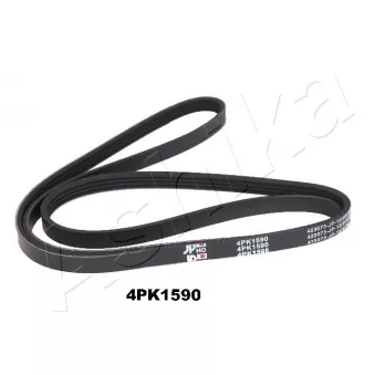 Courroie trapézoïdale à nervures ASHIKA 112-4PK1590