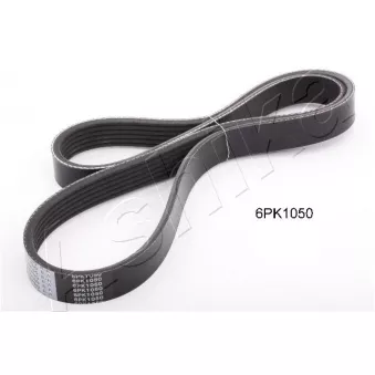 Courroie trapézoïdale à nervures ASHIKA 112-6PK1050
