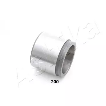 Piston, étrier de frein ASHIKA 133-02-200