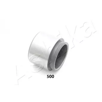 Piston, étrier de frein ASHIKA 133-05-500