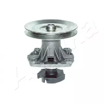 Pompe à eau, refroidissement du moteur ASHIKA 35-00-0231