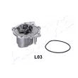 Pompe à eau ASHIKA 35-0L-L03 - Visuel 2