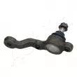 Rotule de suspension avant droit ASHIKA 73-02-252R - Visuel 3