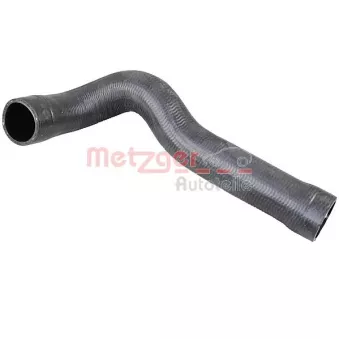 Durite de radiateur METZGER 2421320