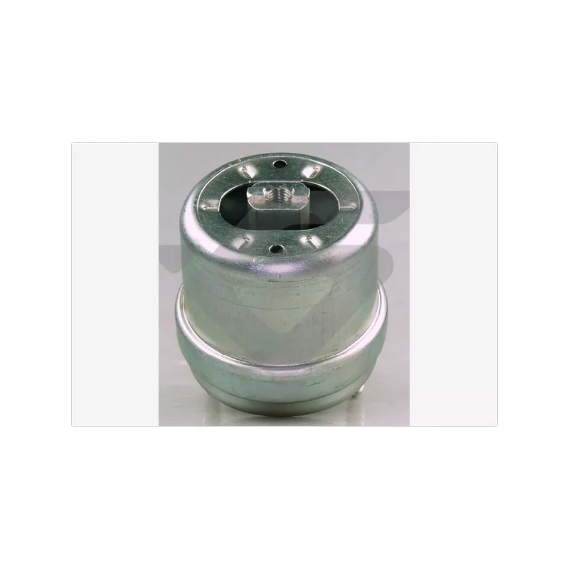 Support moteur HUTCHINSON 594712
