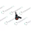 Injecteur REMANTE 002-003-001494R - Visuel 2