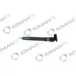 Injecteur REMANTE 002-003-002260R - Visuel 1