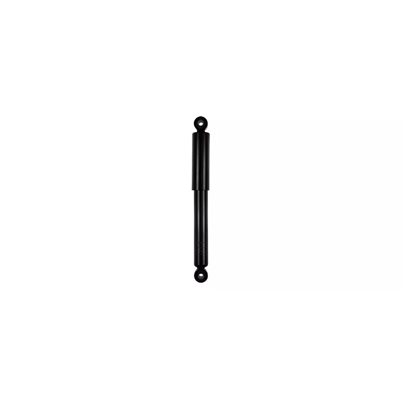 Jeu de 2 amortisseurs arrière GOOM F220G1021