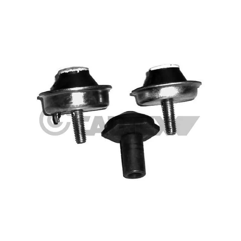 Butée élastique, support du moteur avant droit CAUTEX 031114