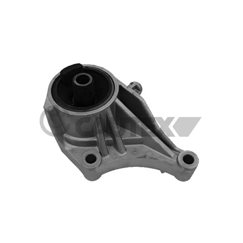 Support moteur CAUTEX 755967
