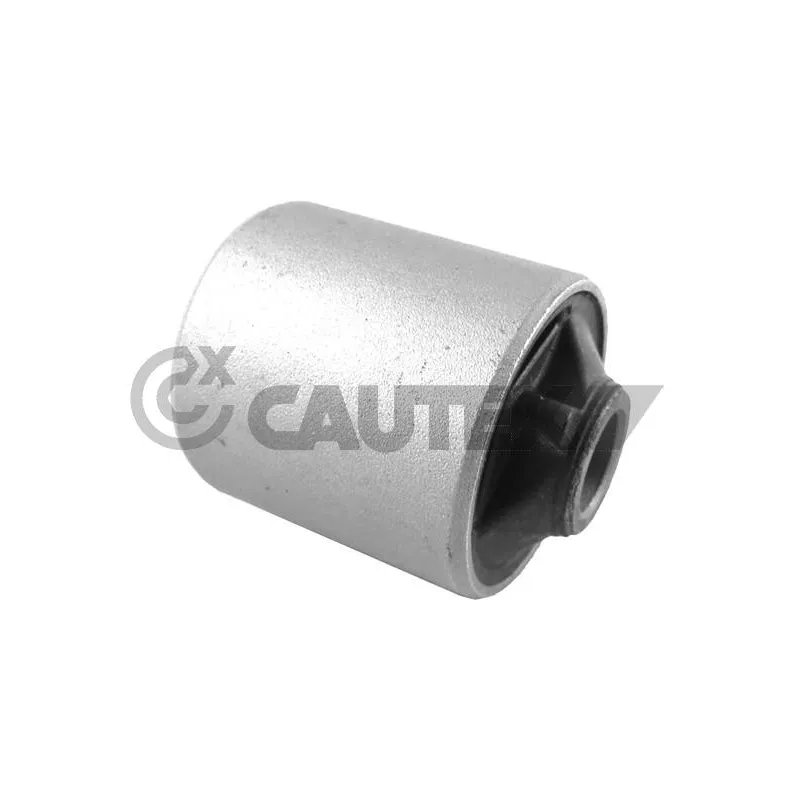Suspension, corps de l'essieu CAUTEX 759584