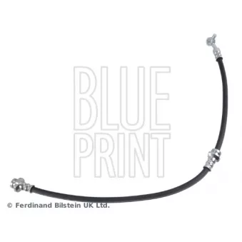 Flexible de frein avant gauche BLUE PRINT ADBP530033