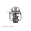 Thermostat d'eau BLUE PRINT ADD69205 - Visuel 2