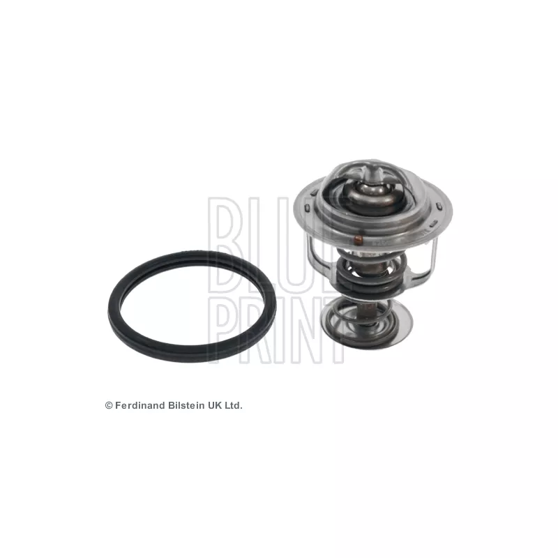 Thermostat d'eau BLUE PRINT ADD69215