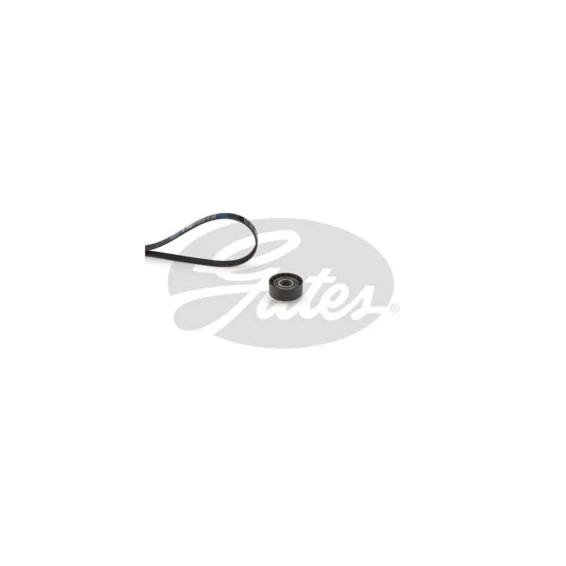 Jeu de courroies trapézoïdales à nervures GATES K045PK1163