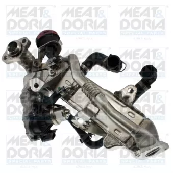 Module-EGR MEAT & DORIA 88997