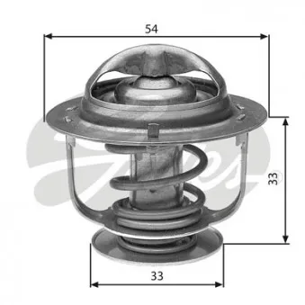 Thermostat d'eau GATES TH30888G1