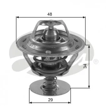 Thermostat d'eau GATES