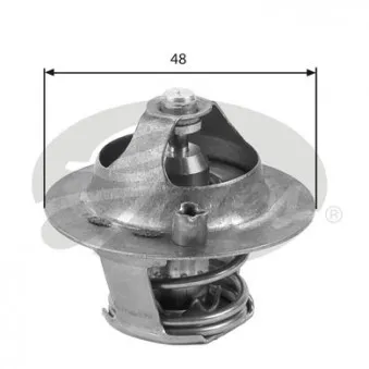 Thermostat d'eau GATES TH39374G1