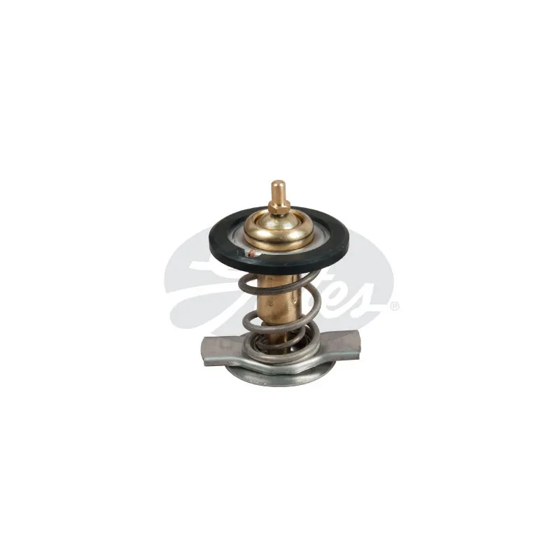 Thermostat d'eau GATES TH50392G1