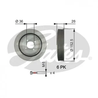 Poulie, vilebrequin GATES TVD1011A