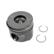 Piston DT 13.47201 - Visuel 1