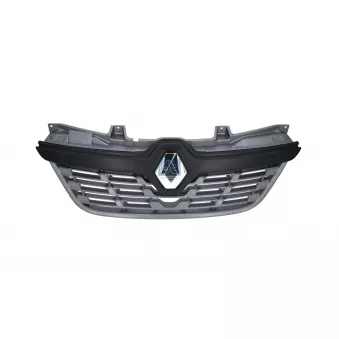 Grille de radiateur DT 6.70005