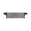 Intercooler, échangeur DT 7.21117 - Visuel 1