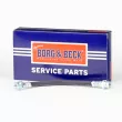 Flexible de frein BORG & BECK BBH6252 - Visuel 1