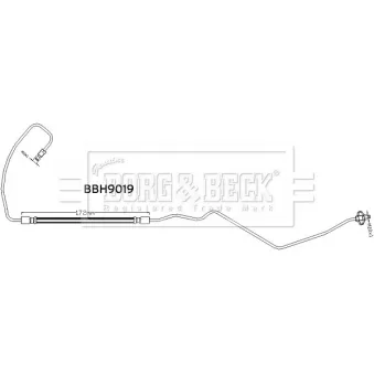 Flexible de frein BORG & BECK BBH9019