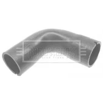 Gaine de suralimentation BORG & BECK BTH1041